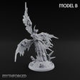 Wings Spread Descending Seraph Warrior B