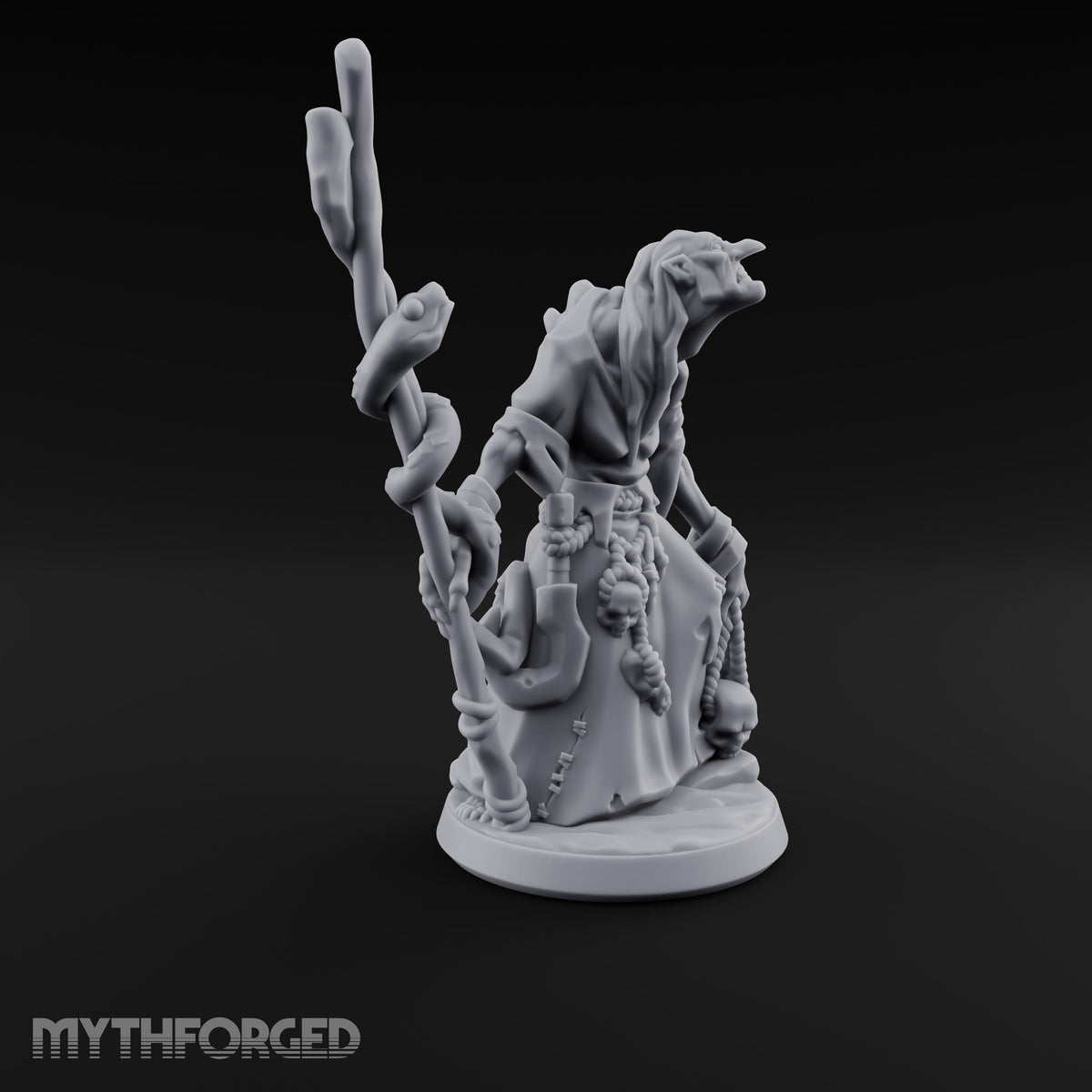 Warts and Skulls Hag Witch A — No Cat