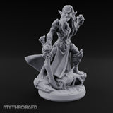 Sharp Ears, Sharper Tempers Wood Elf Warriors — B