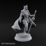 A Point of Authority Drow General