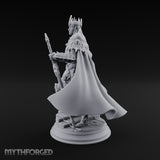 A Point of Authority Drow General