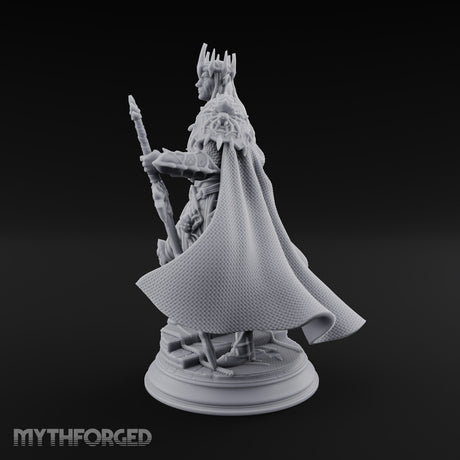 A Point of Authority Drow General