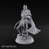 A Point of Authority Drow General
