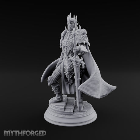 A Point of Authority Drow General