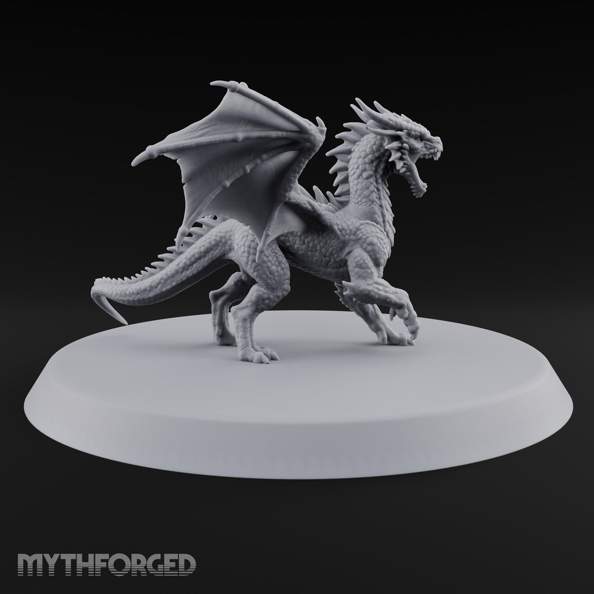 Teenage Dragon, Adult Opinions Young Dragon