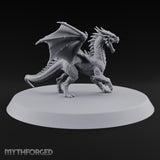 Teenage Dragon, Adult Opinions Young Dragon
