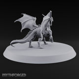 Teenage Dragon, Adult Opinions Young Dragon