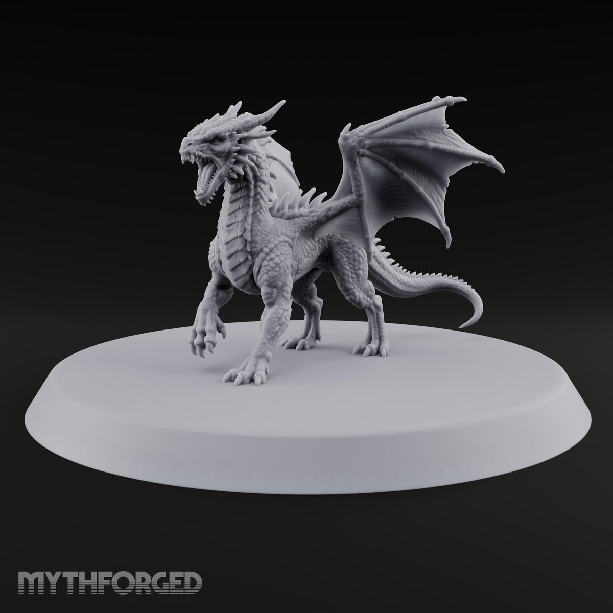 Teenage Dragon, Adult Opinions Young Dragon
