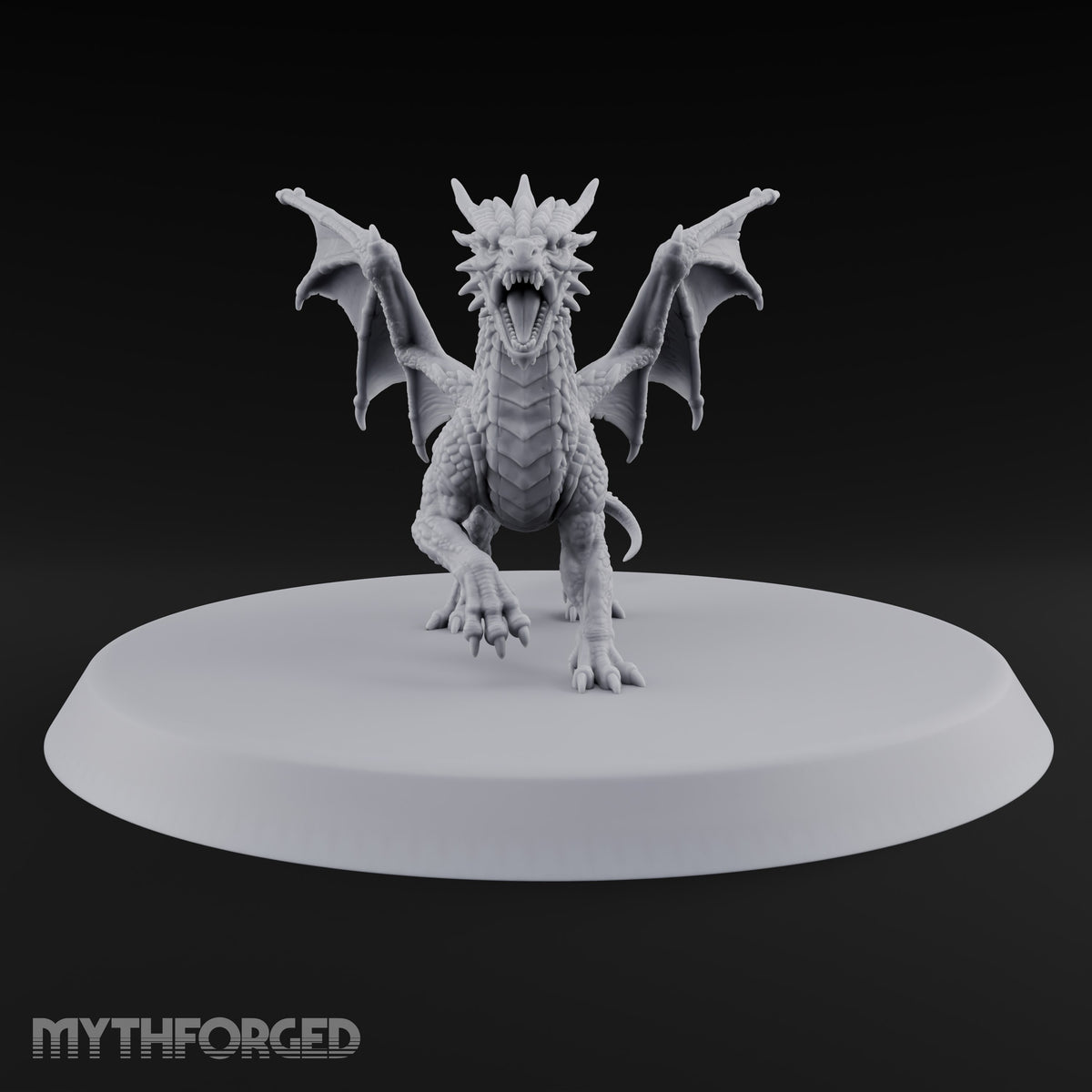 Teenage Dragon, Adult Opinions Young Dragon