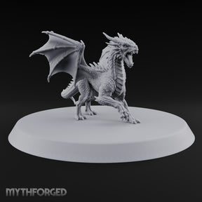 Teenage Dragon, Adult Opinions Young Dragon