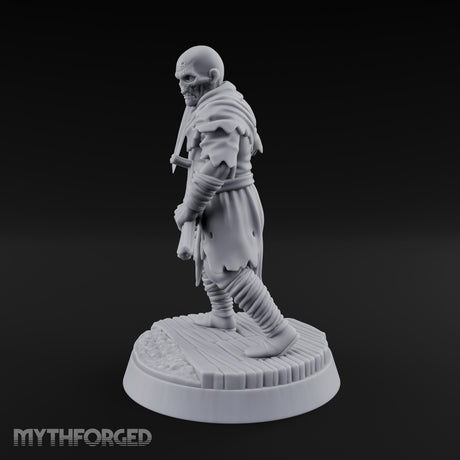 Raising a Ruckus Zombie Villager C