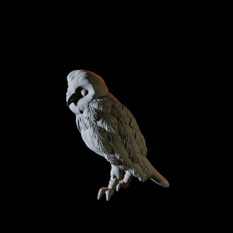 Owl Familiar Miniature for Dungeons and Dragons, Pathfinder or other TTRPGs