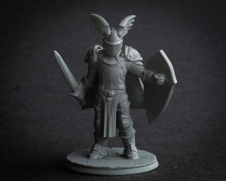 STL - Miniature Printing Service Miniature for Dungeons and Dragons, Pathfinder or other TTRPGs