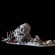 Snails on Rocks Miniature for Dungeons and Dragons, Pathfinder or other TTRPGs