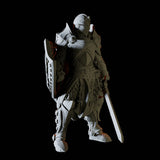 Three Royal Knights Miniature for Dungeons and Dragons, Pathfinder or other TTRPGs