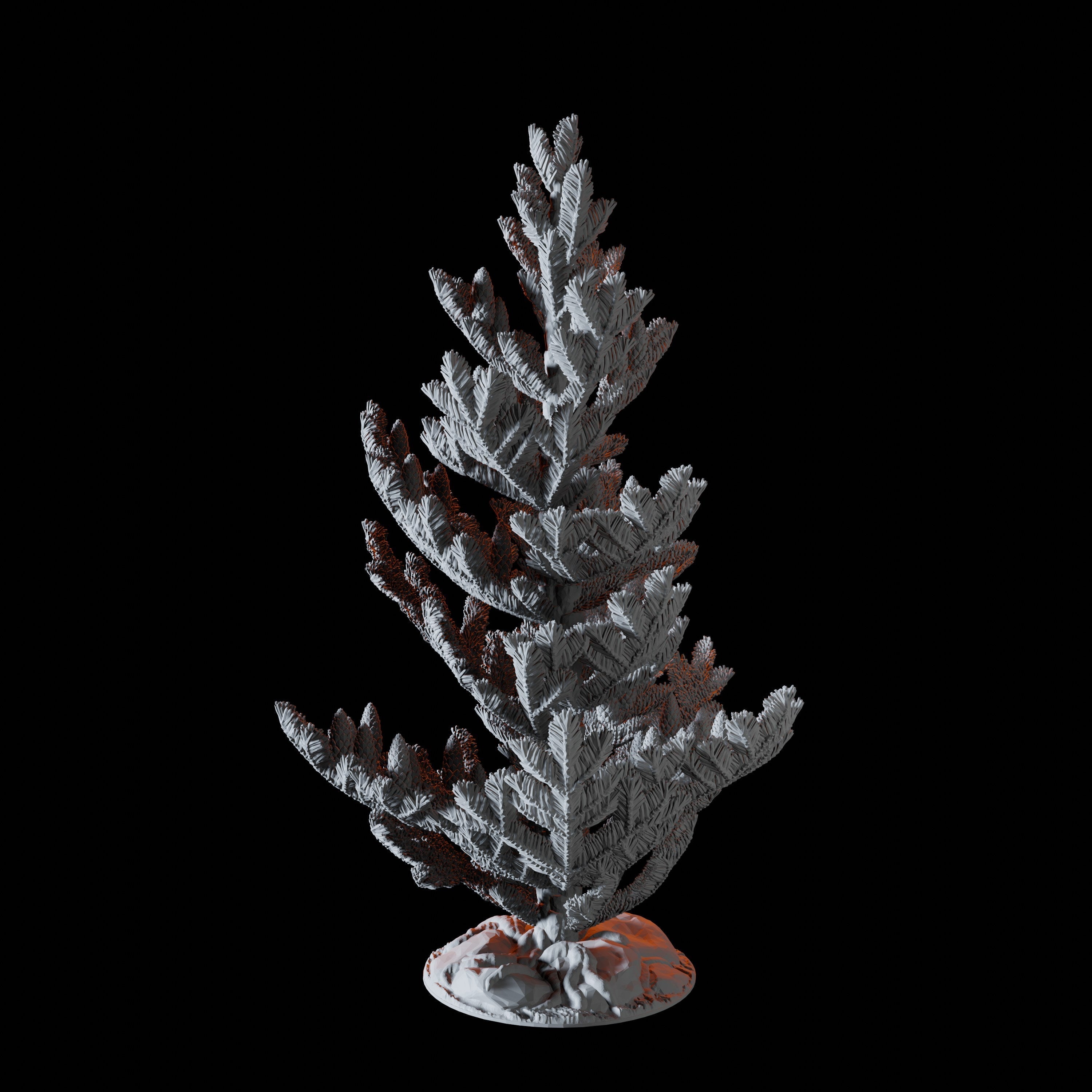 Young Conifer - Scatter Terrain Miniature for Dungeons and Dragons - Myth Forged