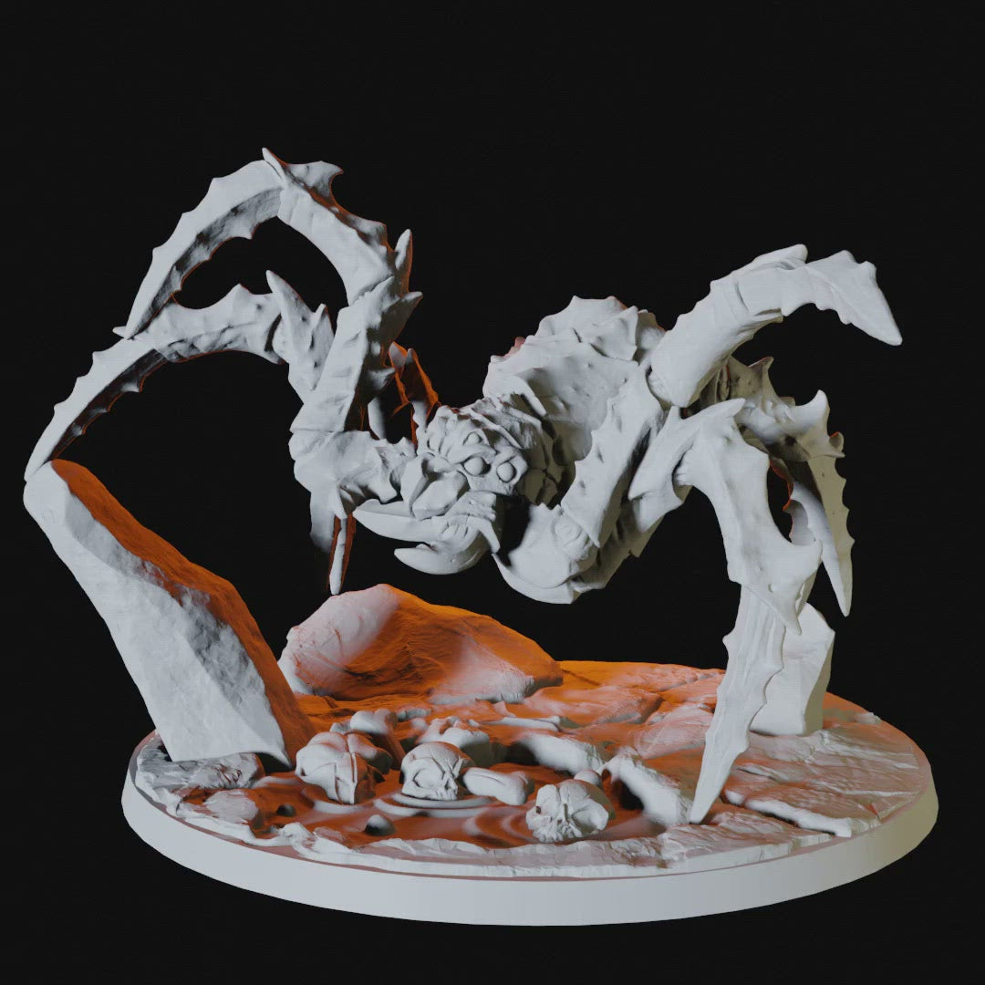 Giant Spider Miniature for Dungeons and Dragons - Myth Forged