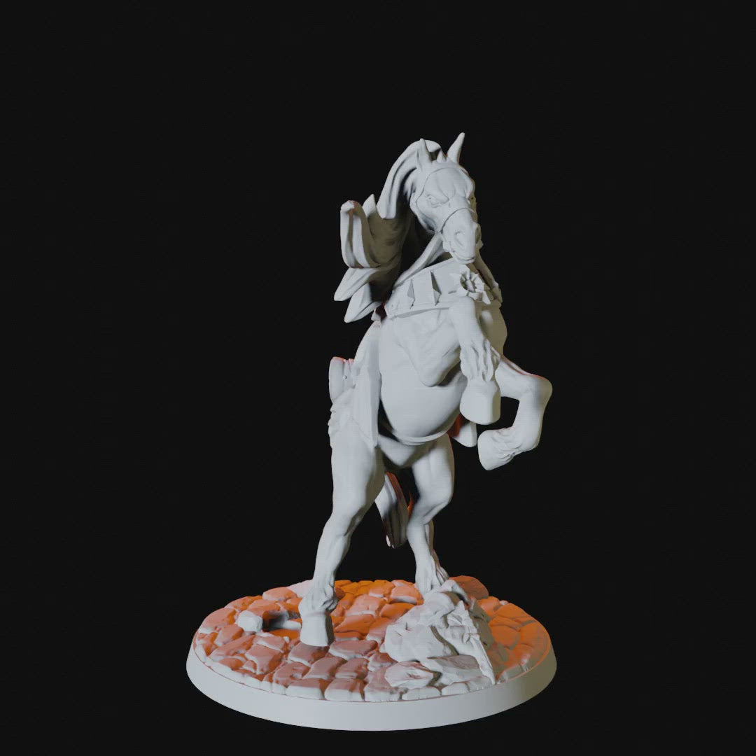 Warhorse Miniature for Dungeons and Dragons - Myth Forged