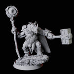 Rhino Folk Druid