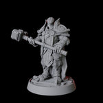 Heavy Armour Paladin